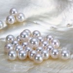 PL1158 담수진주 8.5-9mm
